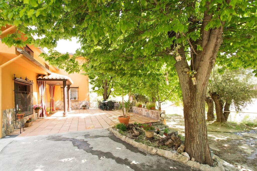Holiday home Labellacasona