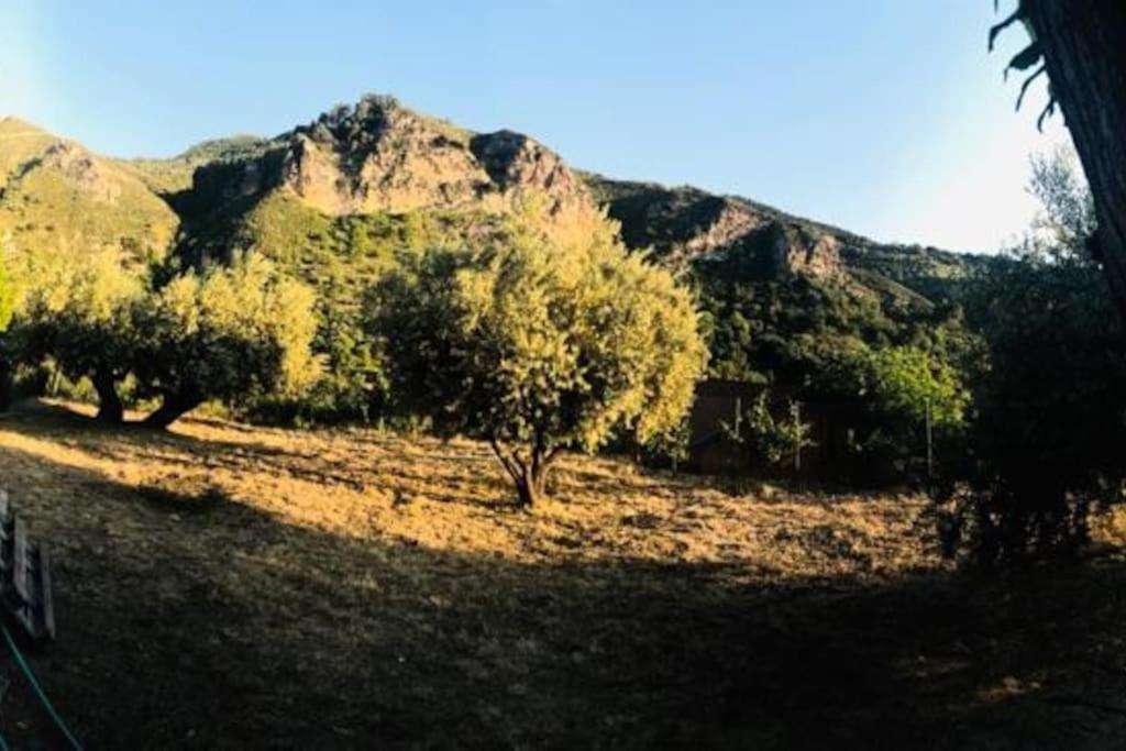 Labellacasona